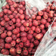 Huaniu apple fruit fresh apple fruit